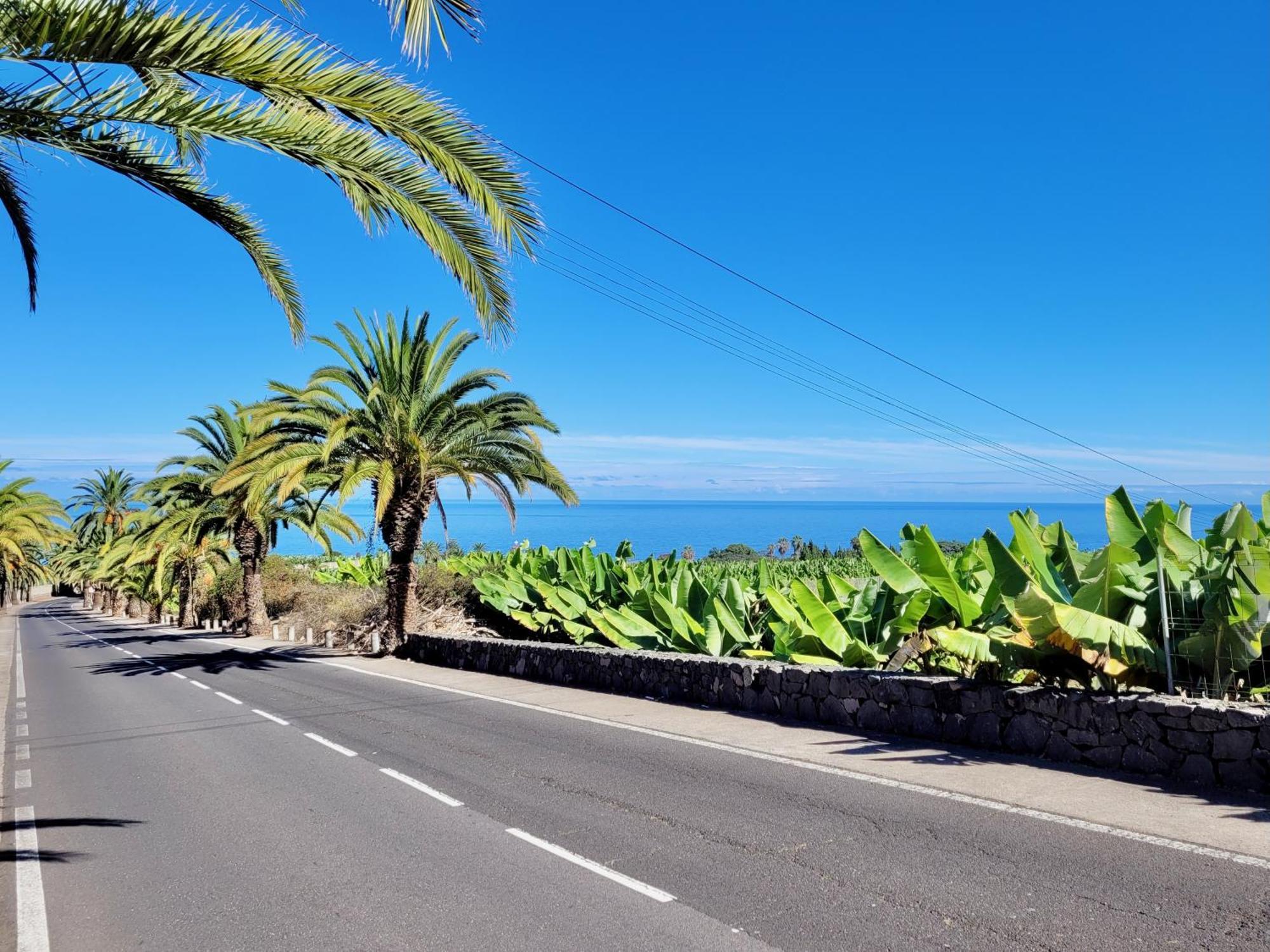 Casa Rural - Playa. Situada En Un Entorno Natural. La Orotava Bagian luar foto